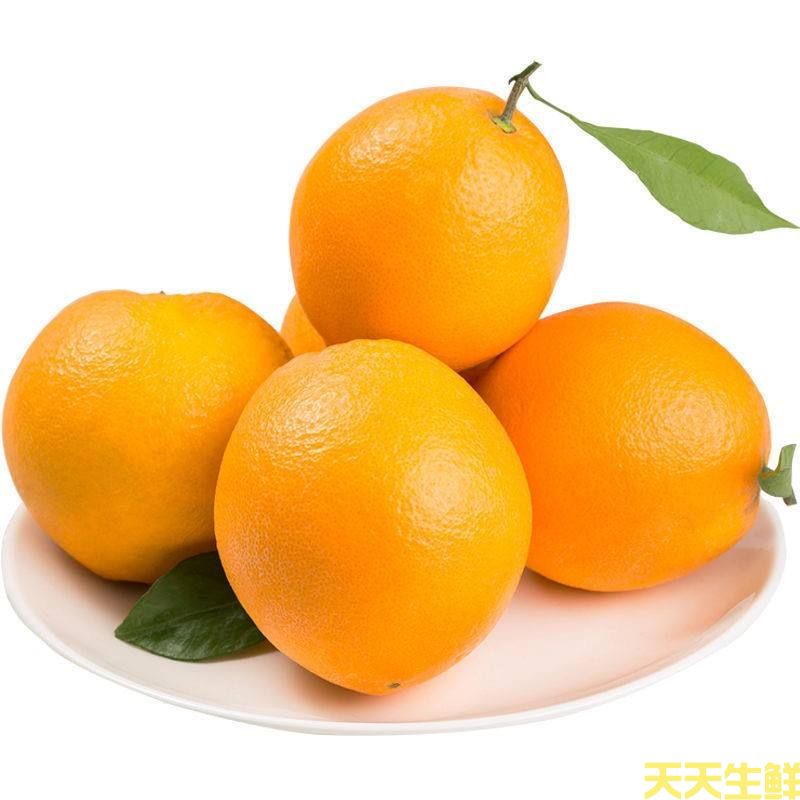 水果配送—脐橙(图1) 水果配送—脐橙(图1)